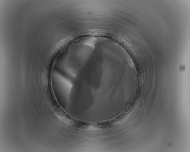 X0000096400303200802071607