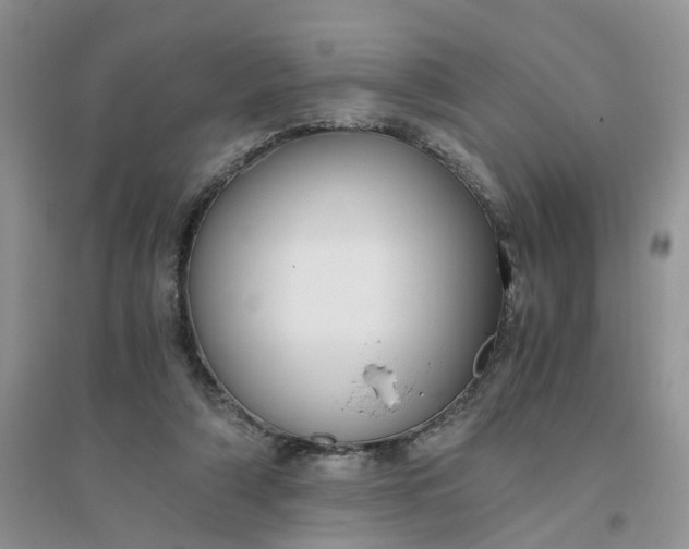 X0000096400306200802071607