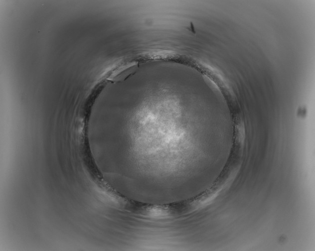 X0000096400308200802071606