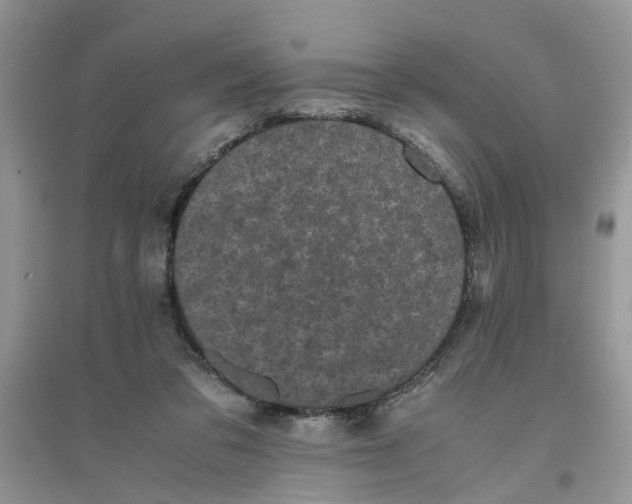 X0000096400309200802071606