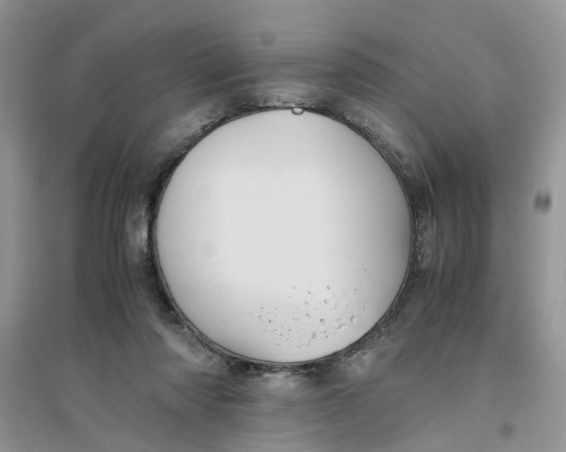 X0000096400310200802071606