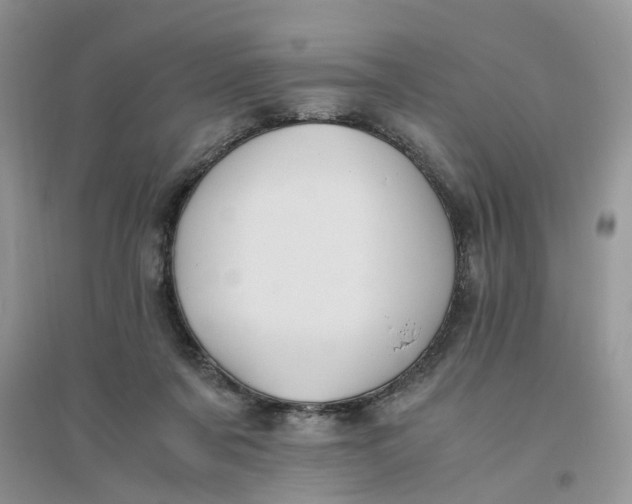 X0000096400311200802071606