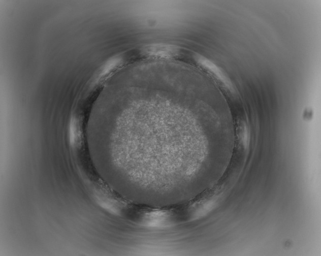 X0000096400312200802071606