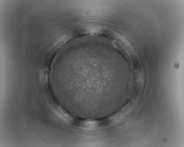 X0000096400313200802071606