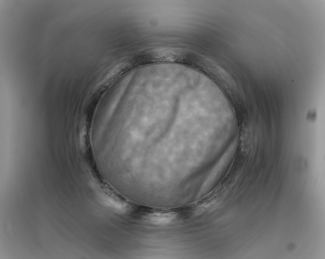 X0000096400314200802071606