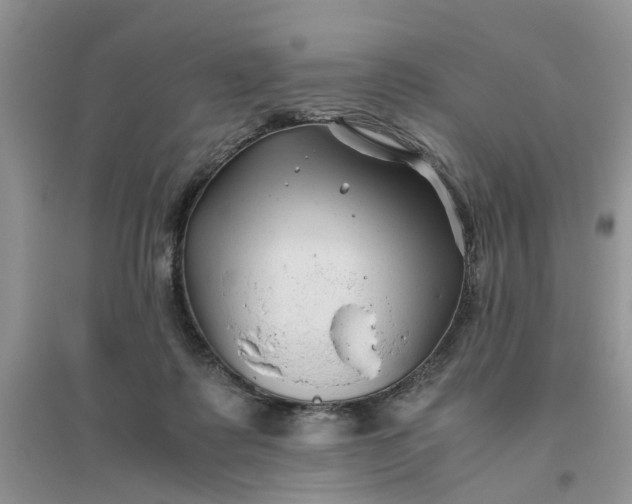 X0000096400315200802071606