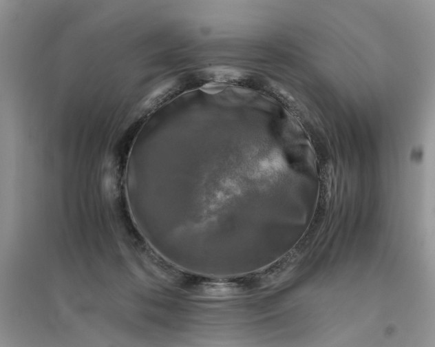 X0000096400316200802071606