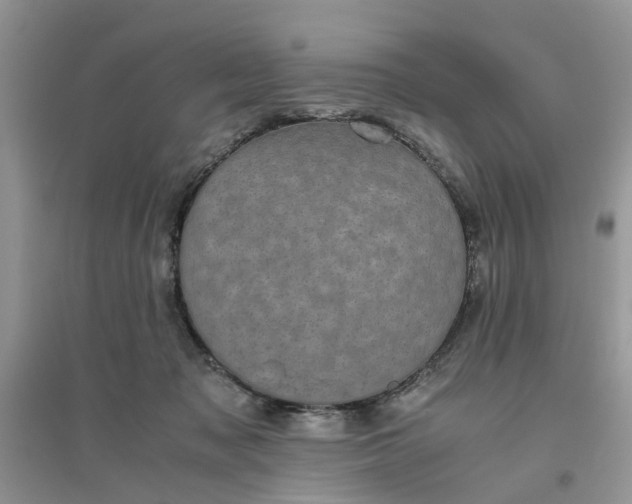 X0000096400317200802071606