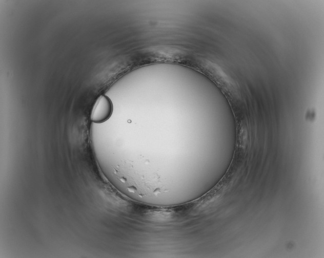 X0000096400318200802071606