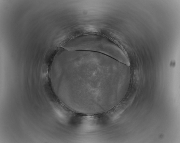 X0000096400320200802071606