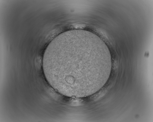 X0000096400321200802071606