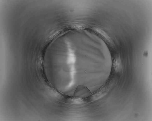 X0000096400322200802071606