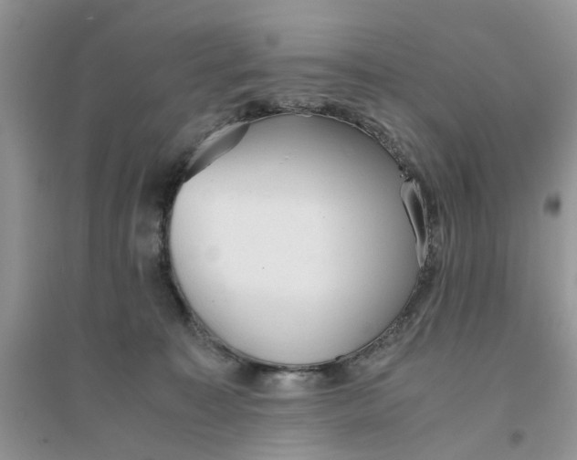 X0000096400323200802071606