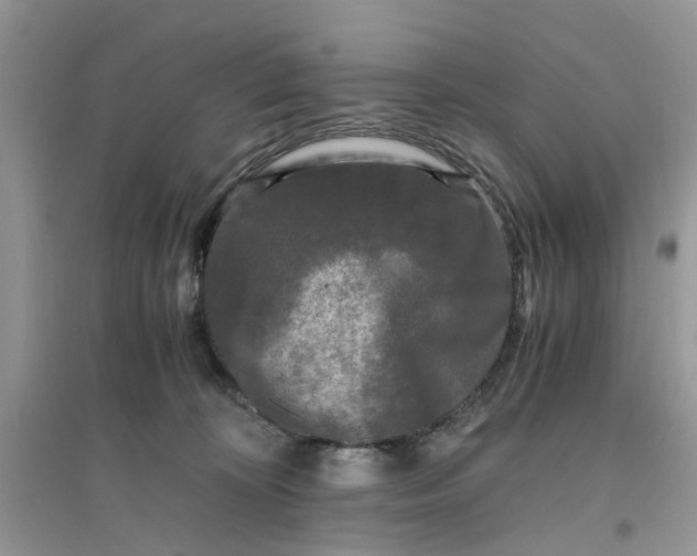 X0000096400324200802071606