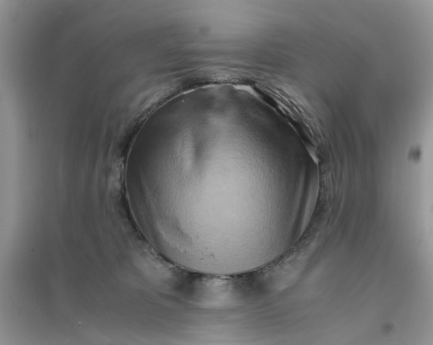 X0000096400325200802071606