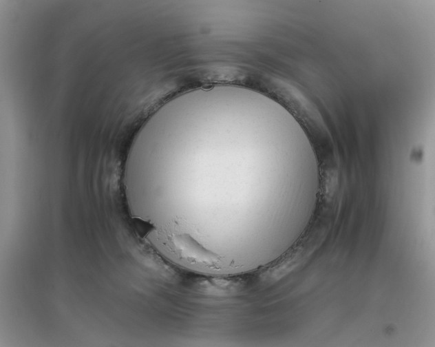 X0000096400326200802071606