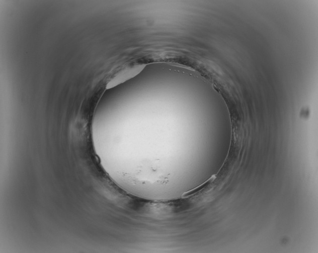 X0000096400327200802071606