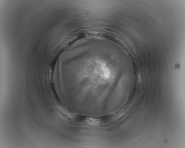 X0000096400328200802071606