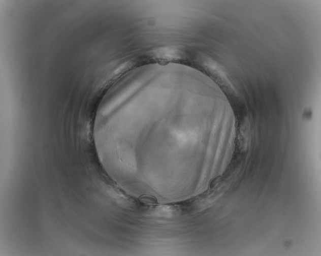 X0000096400330200802071606