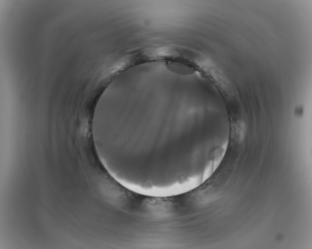 X0000096400331200802071606