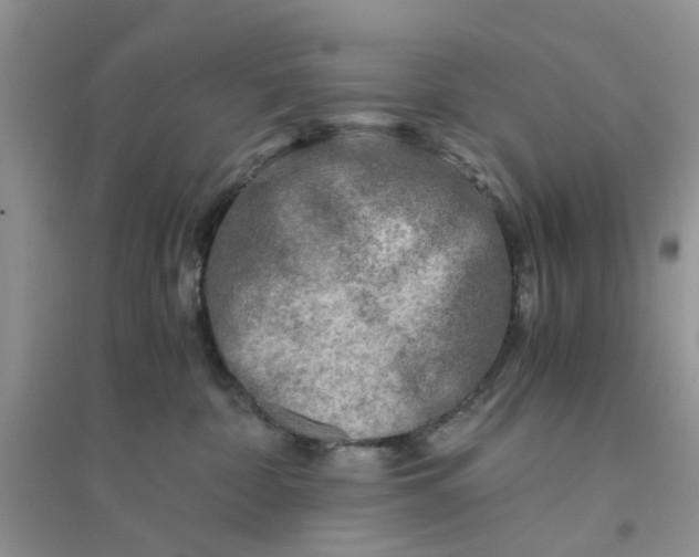 X0000096400332200802071606