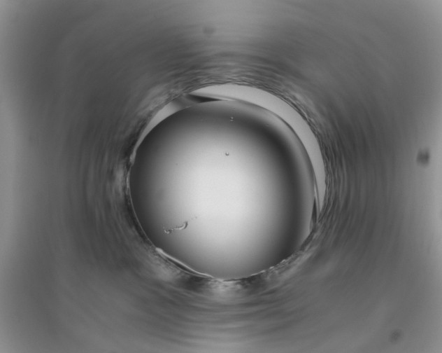 X0000096400333200802071606