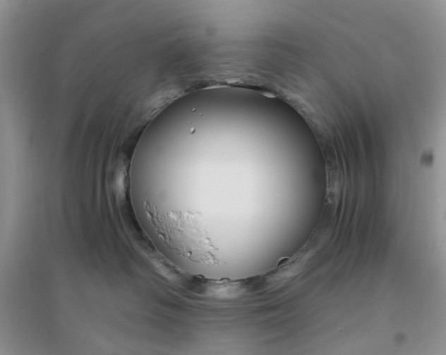 X0000096400334200802071606