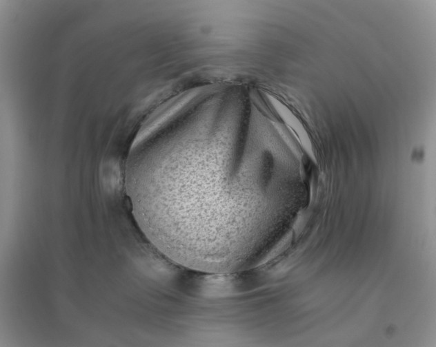 X0000096400335200802071606