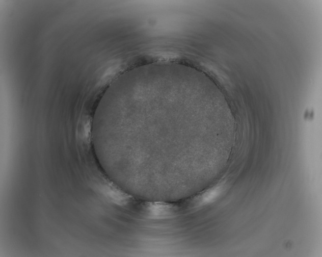 X0000096400336200802071606