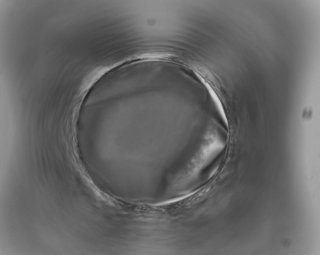 X0000096400337200802071605