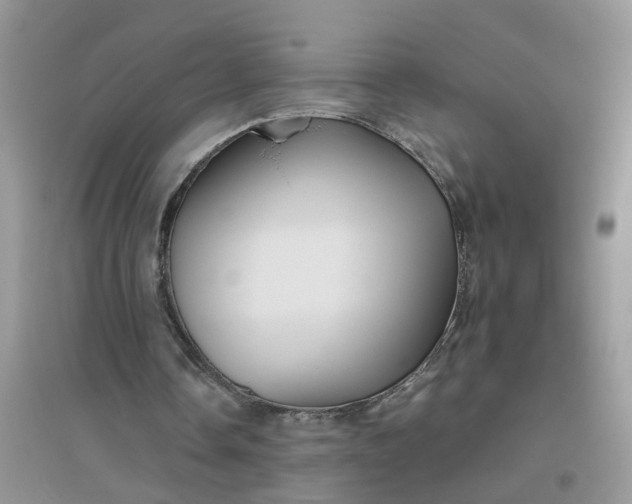 X0000096400338200802071605