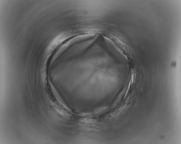 X0000096400339200802071605