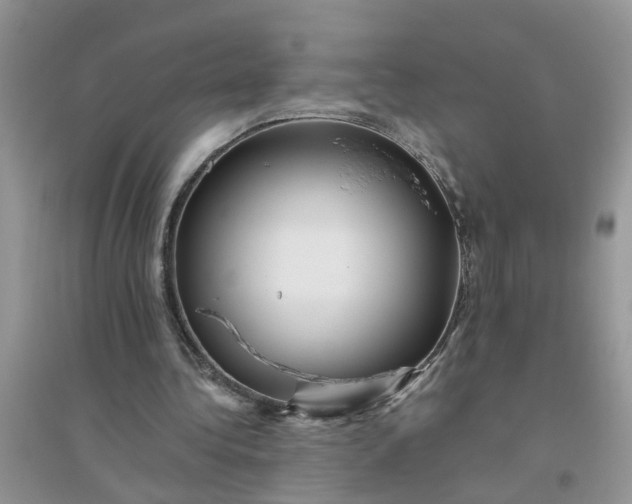 X0000096400340200802071605