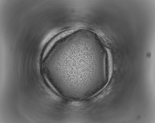 X0000096400341200802071605