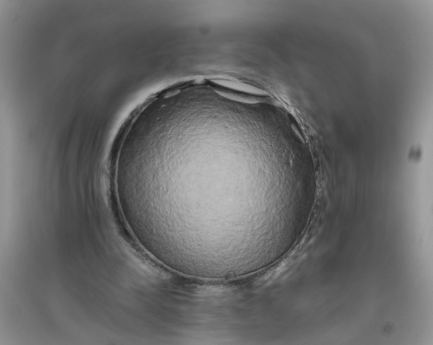 X0000096400342200802071605