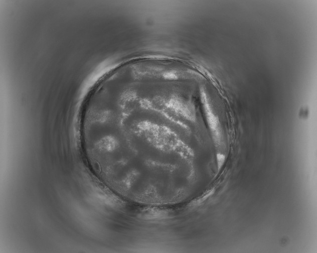 X0000096400343200802071606