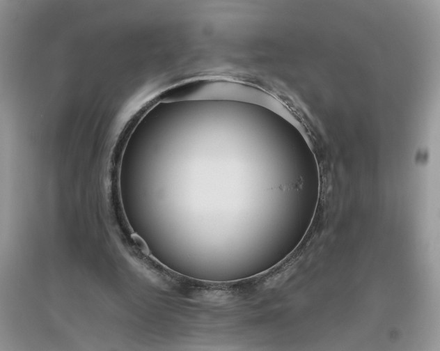 X0000096400344200802071606