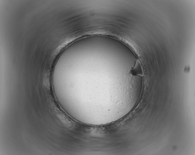 X0000096400345200802071606