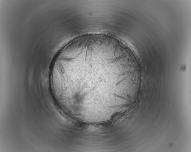 X0000096400346200802071606