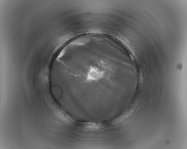 X0000096400347200802071606