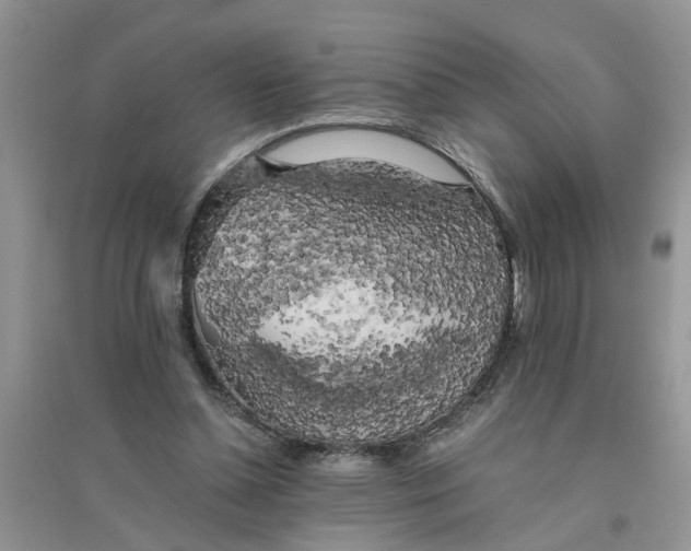 X0000096400348200802071606