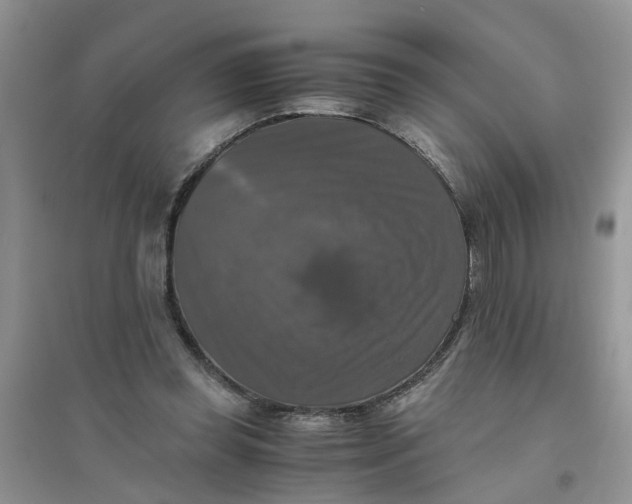 X0000096400349200802071606