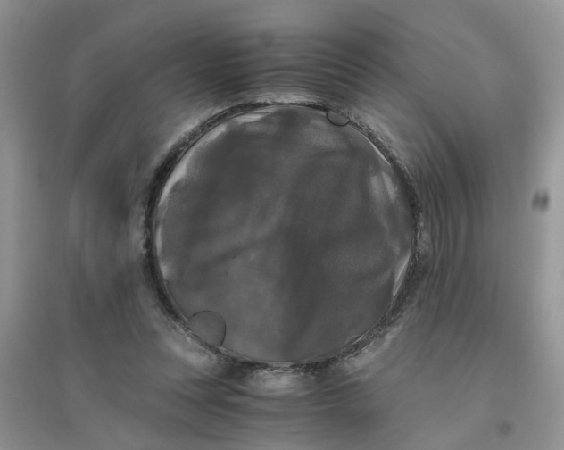 X0000096400351200802071606