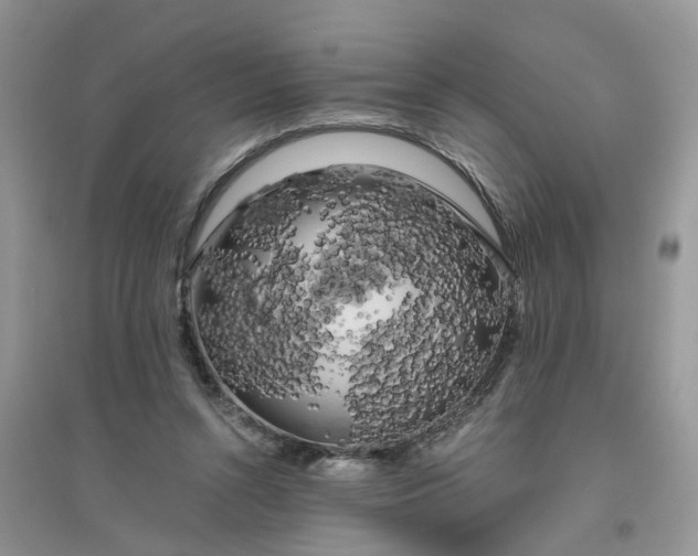 X0000096400352200802071606