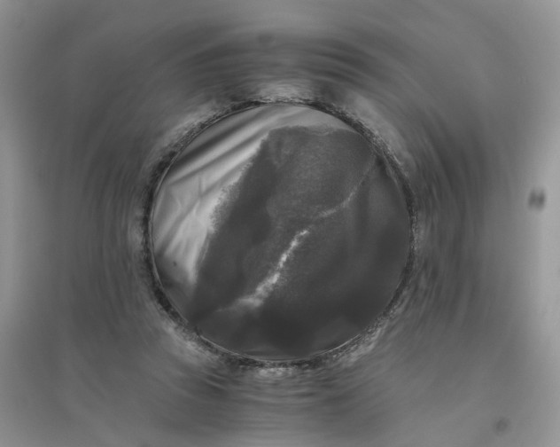 X0000096400353200802071606