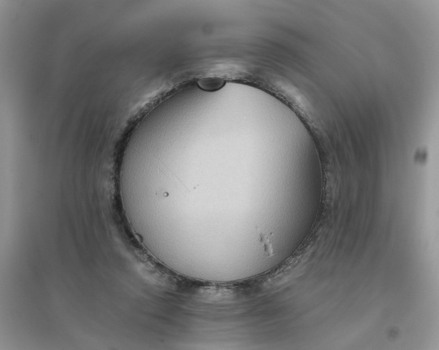 X0000096400354200802071606