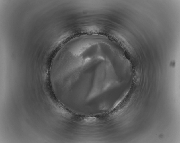 X0000096400355200802071606