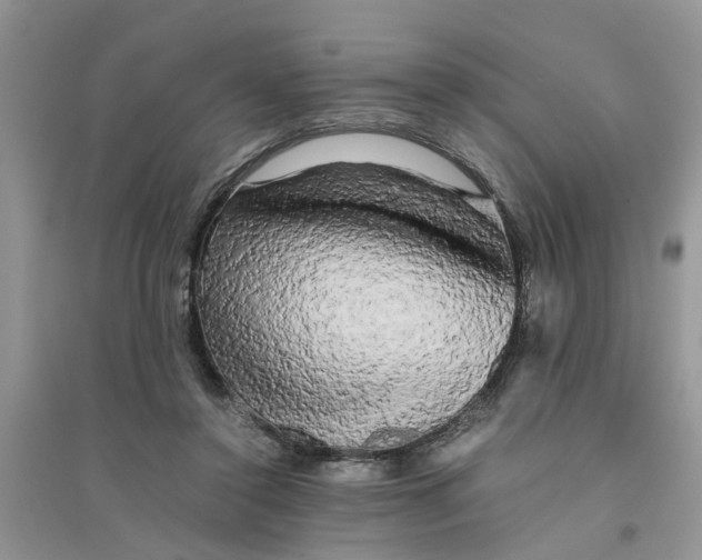 X0000096400356200802071606