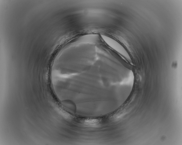 X0000096400357200802071606