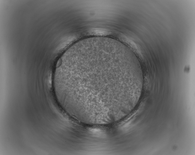 X0000096400358200802071606